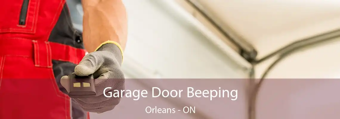 Garage Door Beeping Orleans - ON