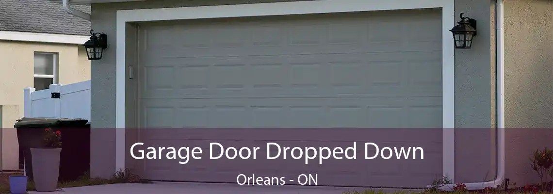 Garage Door Dropped Down Orleans - ON