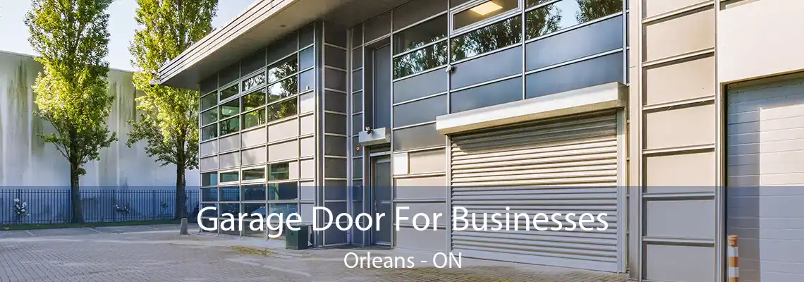 Garage Door For Businesses Orleans - ON