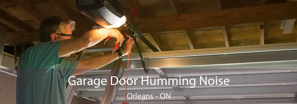 Garage Door Humming Noise Orleans - ON