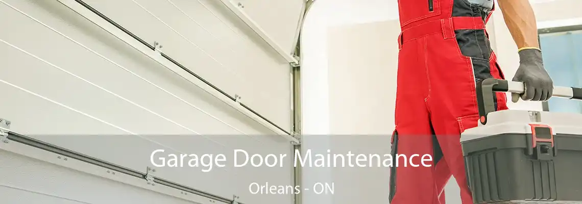 Garage Door Maintenance Orleans - ON