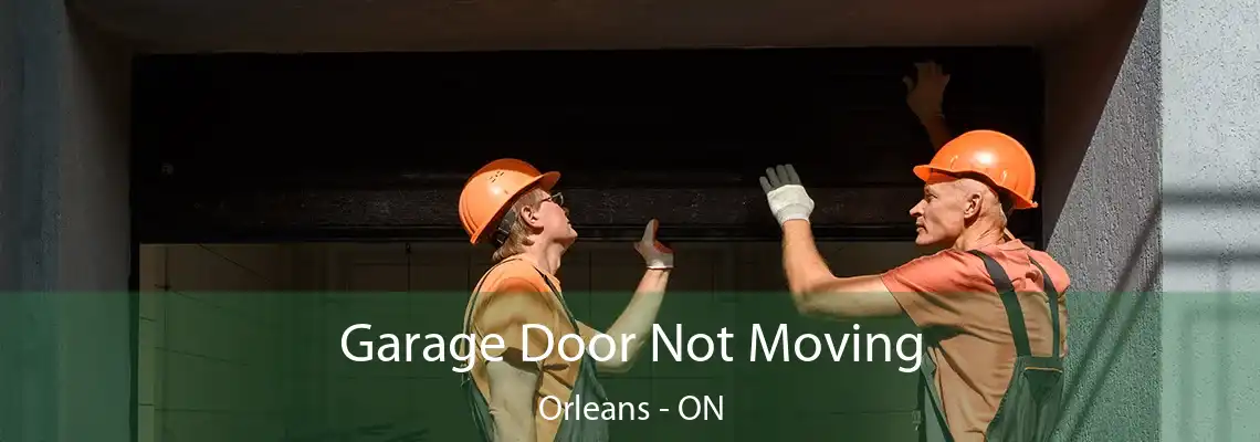 Garage Door Not Moving Orleans - ON