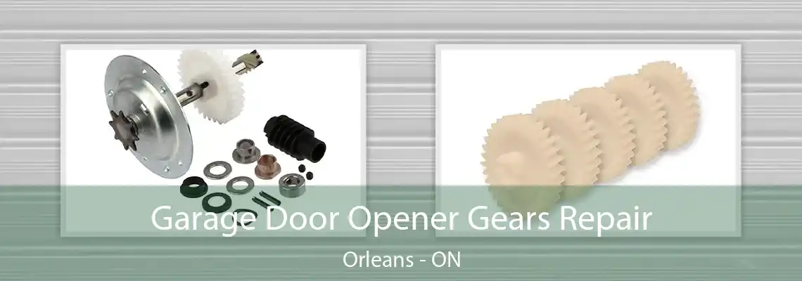 Garage Door Opener Gears Repair Orleans - ON