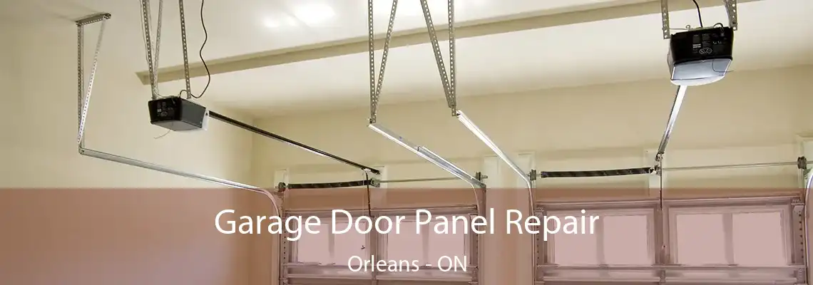 Garage Door Panel Repair Orleans - ON