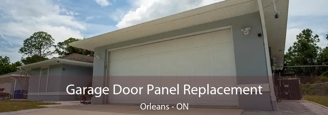 Garage Door Panel Replacement Orleans - ON