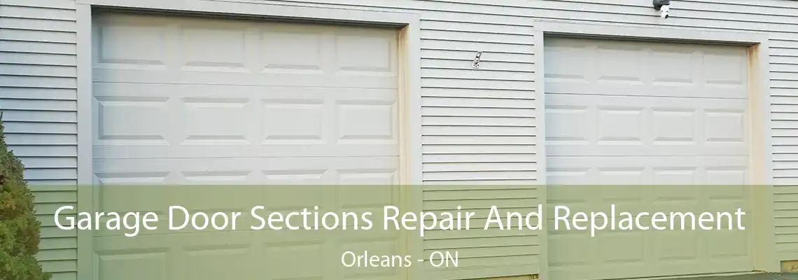 Garage Door Sections Repair And Replacement Orleans - ON