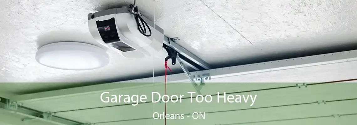 Garage Door Too Heavy Orleans - ON