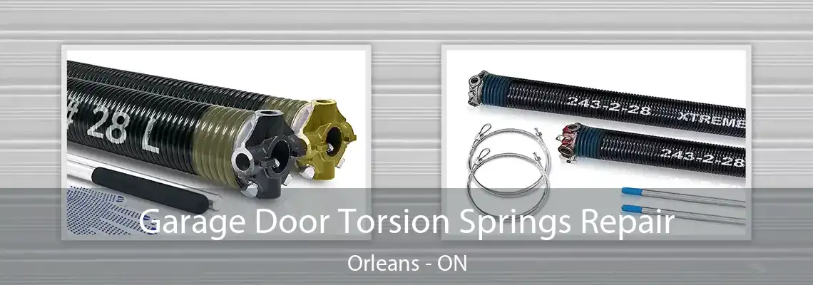 Garage Door Torsion Springs Repair Orleans - ON