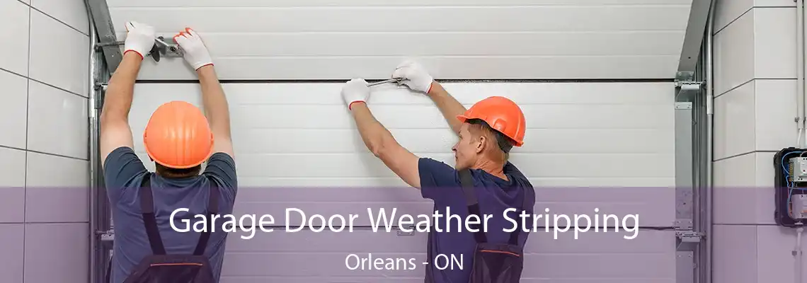 Garage Door Weather Stripping Orleans - ON