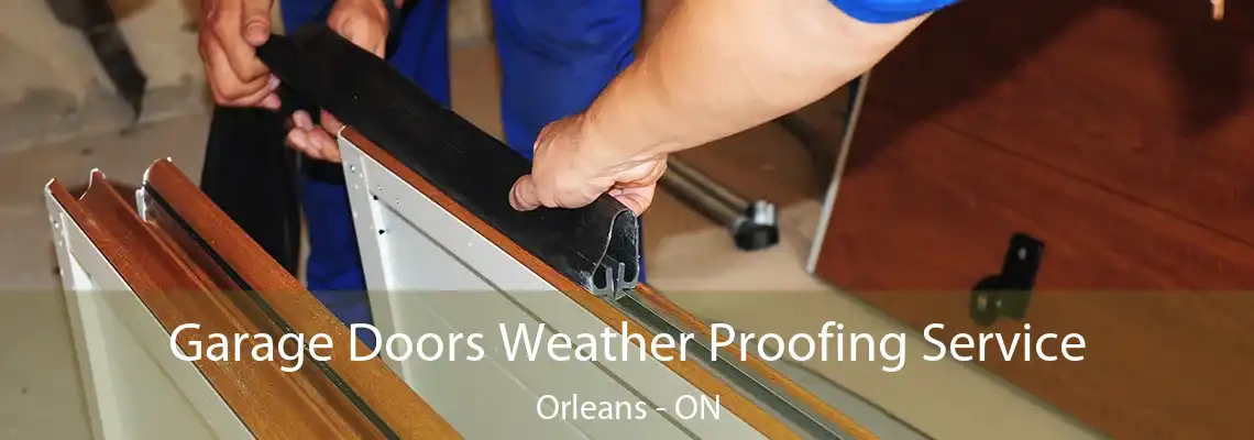 Garage Doors Weather Proofing Service Orleans - ON