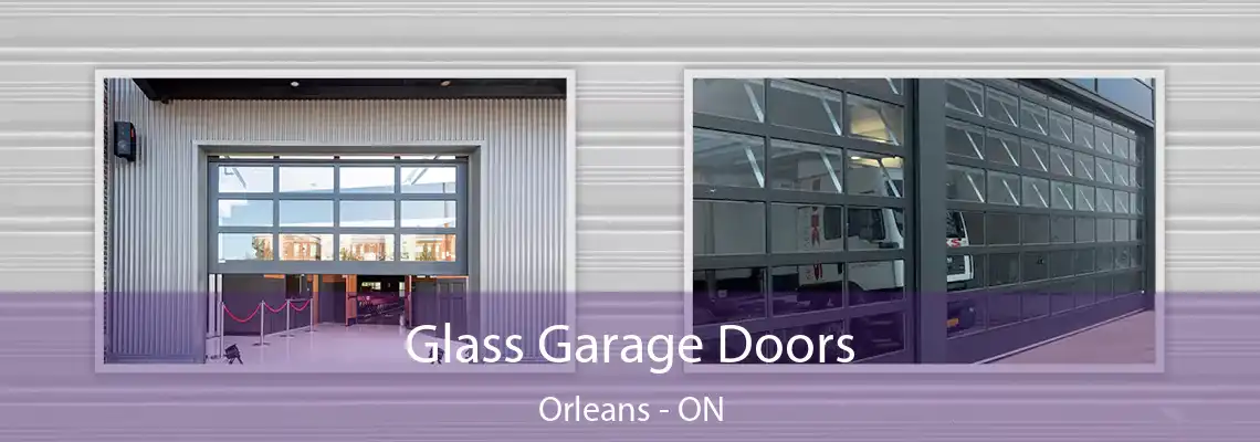 Glass Garage Doors Orleans - ON
